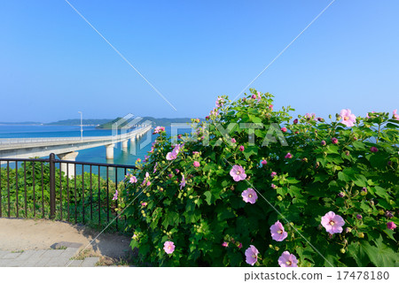 Kakushima Bridge Kakushima Bridge 17478180