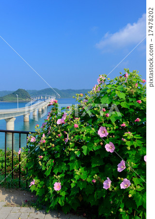 Kakushima Bridge 17478202