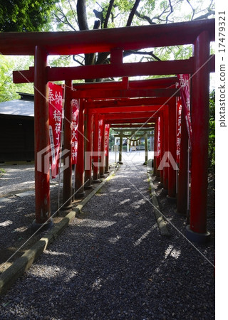 Torii Torii Torii Torii Torii Torii Torii Torii 17479321