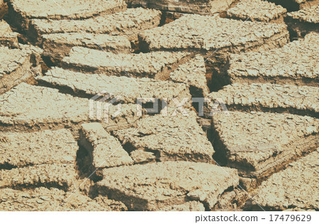 Dry mud field texture background 17479629