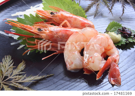 紅蝦阿根廷紅蝦生魚片 紅蝦阿根廷紅蝦生魚片 17481169