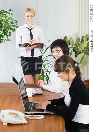 Businesswoman with presentation 17481996