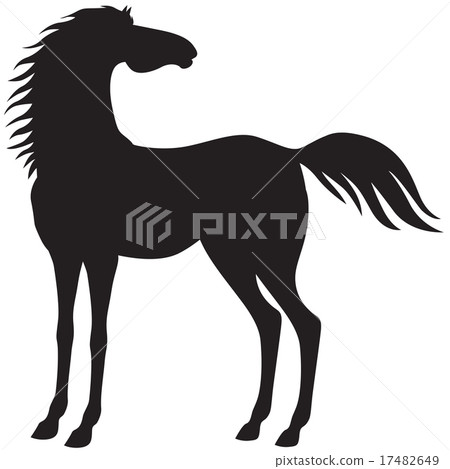 Silhouette beautiful horse Silhouette beautiful horse 17482649