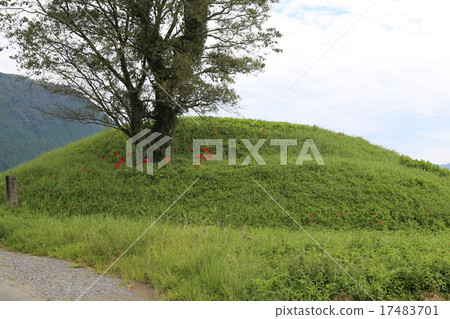 Pictures of tombs and Higanbana 17483701