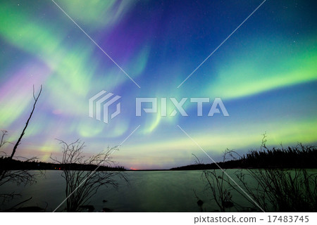  Aurora 17483745