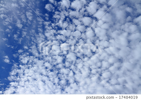Sheep clouds 17484019