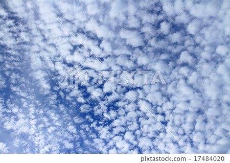 Sheep clouds 17484020