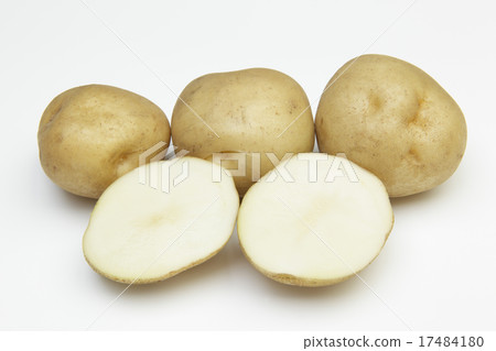 Potatoe potato potatoes from Hokkaido 17484180