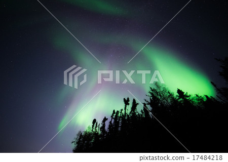  極光 17484218