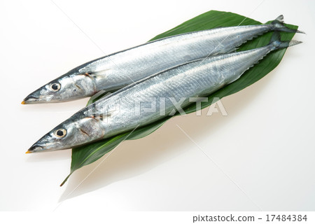 Sanma Sanma 17484384