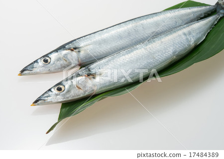 Sanma 17484389