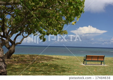 Beach bench 17484638