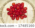 Acerola 17485160