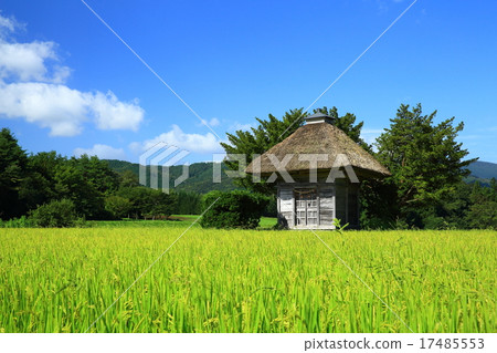 Araragi Shrine in autumn 17485553