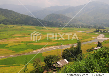 Hmong village between the rice fields in Sapa 17486240