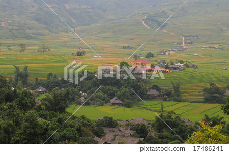 Hmong village between the rice fields in Sapa 17486241