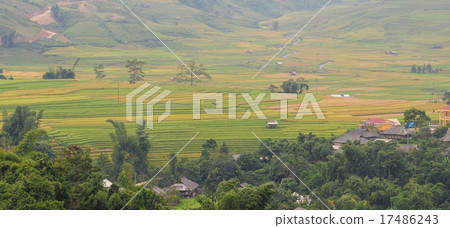 Hmong village between the rice fields in Sapa Hmong village between the rice fields in Sapa 17486243