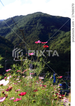 Okabezaka Kogen的宇宙 17486970