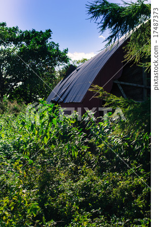 A decayed warehouse 17487373