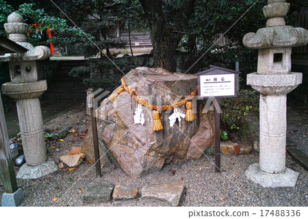 The stone stone of Iwami Kunimiya Shibuya Shrine The stone stone of Iwami Kunimiya Shibuya Shrine 17488336