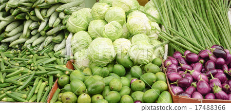 Raw green vegetables in a market Raw green vegetables in a market 17488366