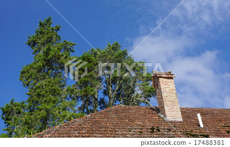 Brick chimney 17488381