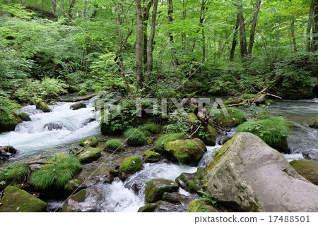 山間溪流 山間溪流 17488501