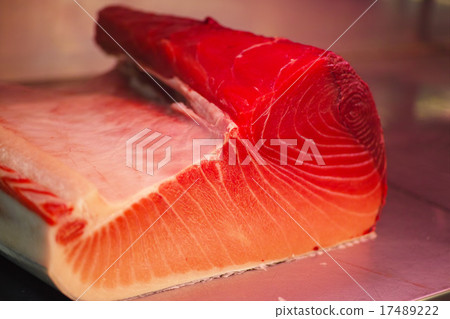 托羅大托羅金槍魚 托羅大托羅金槍魚 17489222