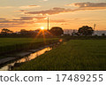 晚上風景的黃昏 17489255