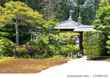 Tofukuji寺廟女兒 -  Seshinji 17490529