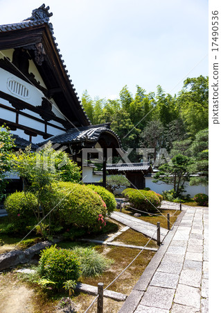 Tofukuji寺廟女兒 -  Seshinji 17490536