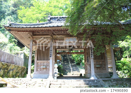 藍獅廟的藍色皇帝 17490890