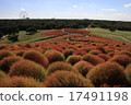 Mihara's Hill 17491198