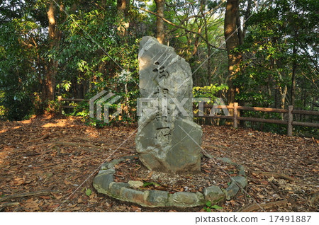 Negotiyama的諮詢處：奈良靜山神社 17491887