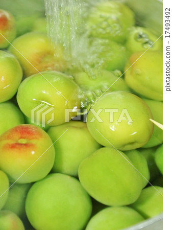 Early summer image · Plum wash of early summer fun · solid bird's eye up vertical position 17493492