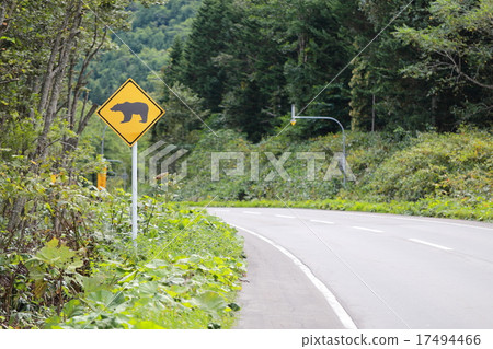 熊道路標誌交通標誌道路信息警告小心野生動物危險動物注意 照片素材 圖片 圖庫