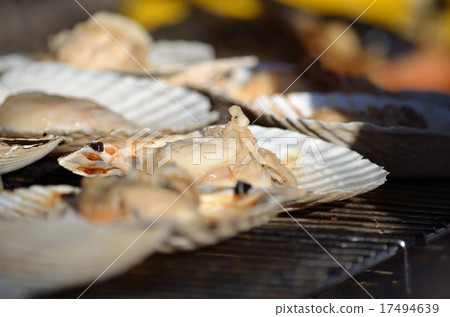Grilled scallops with shells 17494639