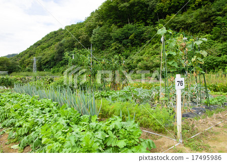 公民農場 17495986