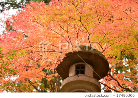 長禪寺的秋天風景 長禪寺的秋天風景 17496306