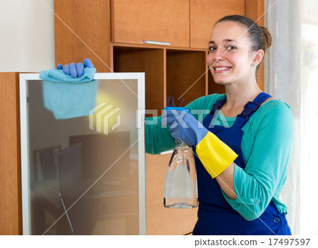 professional cleaner cleaning the office professional cleaner cleaning the office 17497597