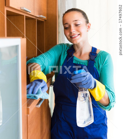 Woman cleaning office room 17497602