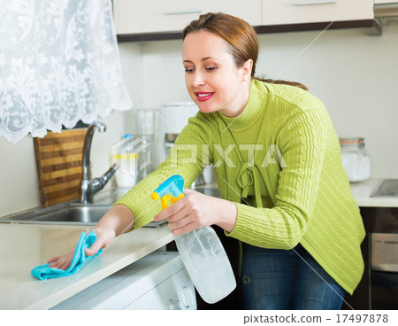 Woman cleaning furniture in kitchen 17497878