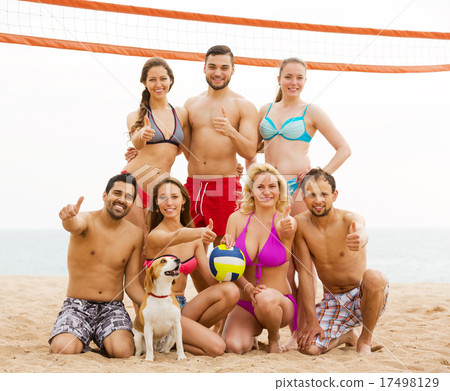 Friends playing volleyball 17498129