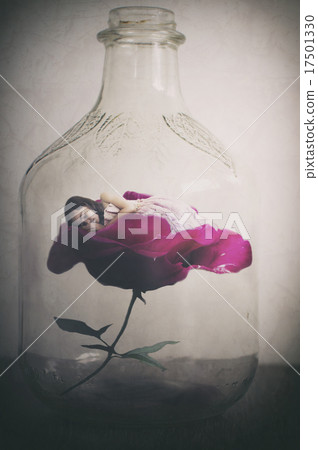 玫瑰 玫瑰花 瓶子 17501330