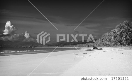 海灘黑色和白色 海灘黑色和白色 17501331