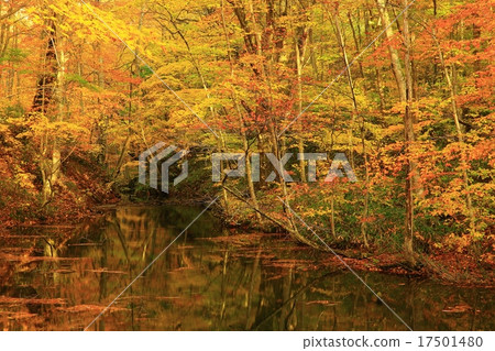 Towada in Aomori Prefecture Tokinuma in autumn leaves Towada in Aomori Prefecture Tokinuma in autumn leaves 17501480