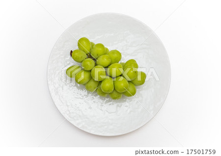 採摘亞歷山大的新鮮的葡萄馬斯喀特果子馬斯喀特 17501759