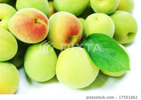 Early summer background material · Colorful southern high plum wash plum plum and plum leaves 1 leaf at the lower right · Horizontal position plums up Early summer background material · Colorful southern high plum wash plum plum and plum leaves 1 leaf at the lower right · Horizontal position plums up 17501862