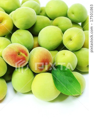 Early summer background material · Colorful southern high plum wash plum plum and plum leaves 1 leaf at the lower right · Vertical position plums up Early summer background material · Colorful southern high plum wash plum plum and plum leaves 1 leaf at the lower right · Vertical position plums up 17501863