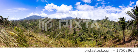 Indonesian landscape with volcano Indonesian landscape with volcano 17502905